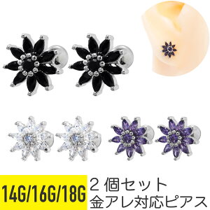 2Zbg Tt[ `[t WG Xg[go[x 14G 16G 18G T[WJXeX WRjA WG Vo[ C[u wbNX sAX {fBsAX q} 