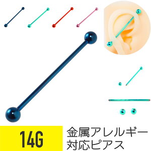 F J[ C_XgA 14G T[WJXeX C_XgA sAX {fBsAX nCJ[ nCg[ Xg[go[x AM[ ςȂ  