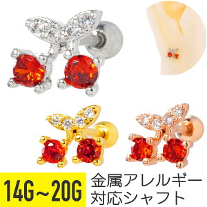 `F[ rW[ Xg[go[x 14G 16G 18G 20G T[WJXeX WRjA WG C[u wbNX sAX {fBsAX  t[c ʕ pF LL 