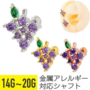 yZ[zO[v rW[ Xg[go[x 14G 16G 18G 20G T[WJXeX WRjA WG wbNX sAX {fBsAX uhE Ԃǂ  t[c ʕ LL 