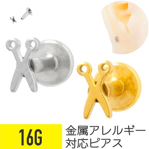 nT~ `[t ubg 16G T[WJXeX C[u wbNX gKX sAX {fBsAX ͂  VU[ AM[ ςȂ  킢  