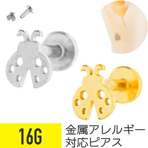 egEV `[t ubg 16G T[WJXeX wbNX gKX sAX {fBsAX ĂƂނ ĂƂ fBo[h CZN^[  ނ ubgsAX 