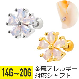 t[ zCg WG Xg[go[x 14G 16G 18G 20G T[WJXeX WRjA Vo[ S[h wbNX AE^[RN sAX {fBsAX  A rW[ L