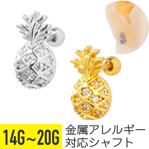 pCibv WG Xg[go[x 14G 16G 18G 20G T[WJXeX WRjA wbNX AE^[RN sAX {fBsAX pC ʕ t[c `[t pF rW