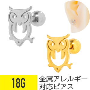 tNE `[t Xg[go[x 18G T[WJXeX wbNX AE^[RN sAX {fBsAX owl AE  ӂ낤 ~~YN ݂݂    AM