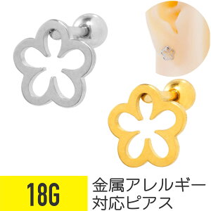 t[ t[ Xg[go[x 18G T[WJXeX Vo[ S[h C[u wbNX sAX {fBsAX  A `[t AM[Ή