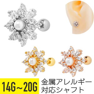 Ђ` rW[ p[ Xg[go[x 14G 16G 18G 20G T[WJXeX WRjA WG wbNX sAX {fBsAX oX l䊐 LL Xp[NX^[ tF