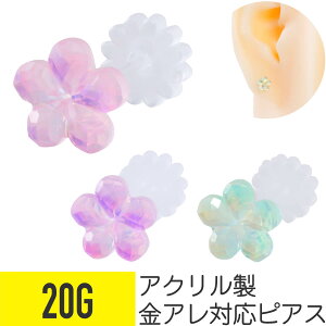 AN pXeJ[ t[ sAX 20G  AN C[u wbNX sAX {fBsAX  A t@V[ ߂  킢  C[u wbNX