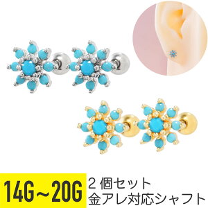 2Zbg tFCN ^[RCY t[ Xg[go[x 14G 16G 18G 20G T[WJXeX WRjA WG Vo[ S[h C[u wbNX gKX AE^[RN 