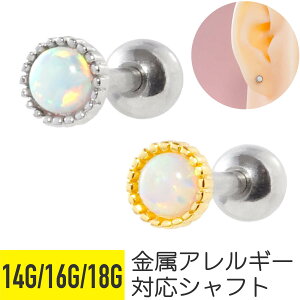 Eh Ip[ Xg[go[x 14G 16G 18G T[WJXeX WRjA WG Vo[ S[h C[u wbNX gKX AE^[RN sAX {fBsAX 