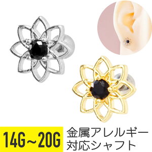 ubN Xg[ t[ Xg[go[x 14G 16G 18G 20G T[WJXeX WRjA WG Vo[ S[h C[u wbNX sAX {fBsAX  t[ A