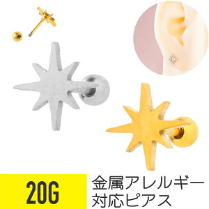 X^[ Cg Xg[go[x 20G T[WJXeX wbNX sAX {fBsAX Xp[N Xp[N 䊐 IN^O xcw  AM[ Ή ς