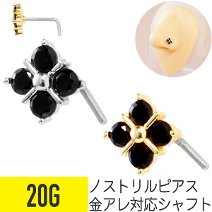 ubN Xg[ t[ XNGA mXg @sAX 20G WRjA WG Vo[ S[h mXg sAX {fBsAX  lp _C Ђ` oX  rW[ L