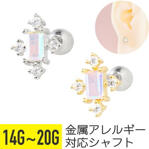 XNGA I[ Xg[ Xg[go[x 14G 16G 18G 20G T[WJXeX WRjA WG Vo[ S[h C[u wbNX sAX {fBsAX lp ` r