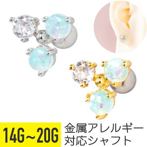 Ip[ gCAO Xg[go[x 14G 16G 18G 20G T[WJXeX WRjA WG Vo[ S[h C[u wbNX AE^[RN sAX {fBsAX 