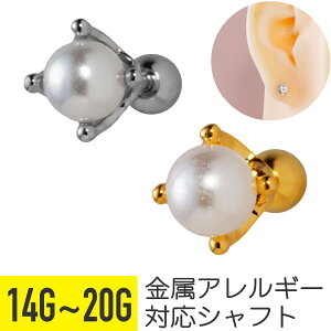 ꗱ p[ Xg[go[x 14G 16G 18G 20G T[WJXeX Vo[ S[h C[u wbNX gKX AE^[RN sAX {fBsAX ANZT[ ^ i t