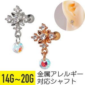 Xm[ WG I[ `[ Xg[go[x 14G 16G 18G 20G T[WJXeX WRjA Vo[ sNS[h wbNX AE^[RN sAX {fBsAX  