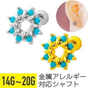 tFCN ^[RCY t[ [X Xg[go[x 14G 16G 18G 20G T[WJXeX WRjA WG Vo[ S[h C[u wbNX gKX AE^[RN 