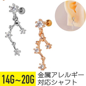 X^[  WG `[ Xg[go[x 14G 16G 18G 20G T[WJXeX WRjA Vo[ sNS[h C[u wbNX sAX {fBsAX  RXe