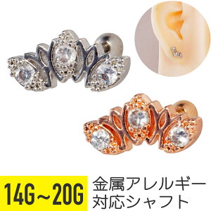 [^X `[t WG Xg[go[x 14G 16G 18G 20G T[WJXeX WRjA WG Vo[ sNS[h C[u wbNX gKX AE^[RN s