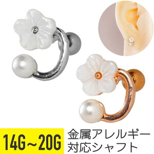 zCg t[ p[ Xg[go[x 14G 16G 18G 20G T[WJXeX  AN Vo[ sNS[h C[u wbNX gKX AE^[RN sAX {f