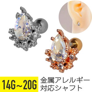 eBAhbv NA WG Xg[go[x 14G 16G 18G 20G T[WJXeX WRjA wbNX gKX AE^[RN sAX {fBsAX hbv    y