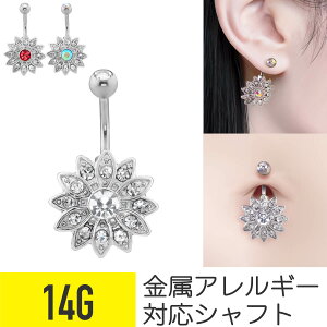 ւsAX t[ 14g AM[Ή oiio[x {fBsAX sAX T[WJXeX ZJhsAX ւs fB[X  WRjA rW[ LL