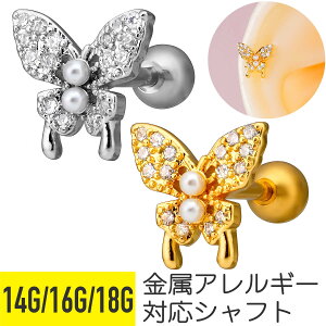 o^tC  pF Xg[go[x 14G 16G 18G T[WJXeX WRjA WG Vo[ S[h C[u wbNX gKX sAX {fBsAX 傤 r