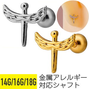 EBO \[h Xg[go[x 14G 16G 18G T[WJXeX Vo[ S[h C[u wbNX AE^[RN sAX {fBsAX  H  AM[Ή