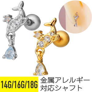 CJ hbv `[ Xg[go[x 14G 16G 18G T[WJXeX WRjA WG Vo[ S[h C[u wbNX sAX {fBsAX htB   