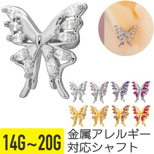 rbO o^tC J[ WG Xg[go[x 14G 16G 18G 20G T[WJXeX WRjA WG Vo[ S[h C[u wbNX sAX {fBsAX  