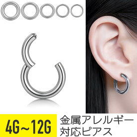 セグメントリング クリッカー 4G 6G 8G 10G 12G サージカルステンレス シルバー イヤーロブ 軟骨ピアス ボディピアス