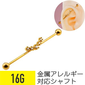 WG C_XgA 16G T[WJXeX WRjA WG S[h wbNX C_XgA sAX {fBsAX cz LL Oo[x C_XgAo
