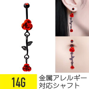 ւsAX [Y 14G T[WJXeX WRjA WG ubN C[u wbNX ւsAX sAX {fBsAX KN o  t[ h oiio[x J[