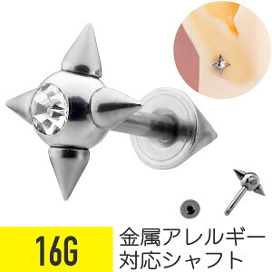 R[ Xg[go[x 16G T[WJXeX WRjA WG Vo[ C[u wbNX sAX {fBsAX XpCN gQgQ cz LL AM[Ή