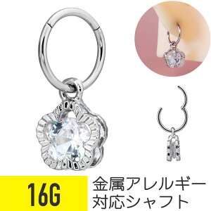 `[ ^b` ZOgO 16G T[WJXeX WRjA WG Vo[ C[u wbNX sAX {fBsAX t[  cz LL h NbJ[