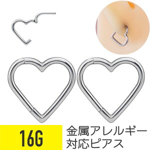 2Zbg n[g ^b` ZOgO 16G T[WJXeX Vo[ C[u wbNX sAX {fBsAX AM[ Ή ςȂ NbJ[