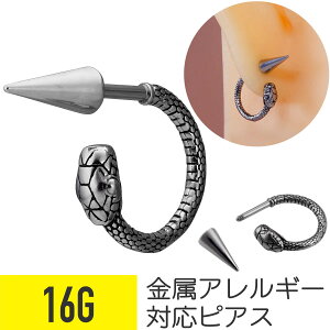 Xl[N R[ Xg[go[x 16G T[WJXeX Vo[ C[u sAX {fBsAX  wr XpCN AM[ Ή ςȂ