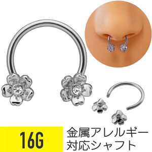 t[ T[L[o[x 16G T[WJXeX Vo[ C[u Zv^ @sAX sAX {fBsAX   AM[Ή