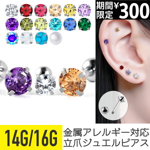 yizsAX {fBsAX 16g 14g AM[Ή sAX ςȂ  t@[XgsAX ZJhsAX Xg[go[x wbNX gKX T[WJXe