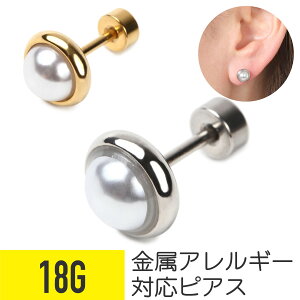 BIGp[ Xg[go[x 18G T[WJXeX Vo[ S[h t@[XgsAX ZJhsAX sAX {fBsAX p[ WG[ tbgLb` AM[