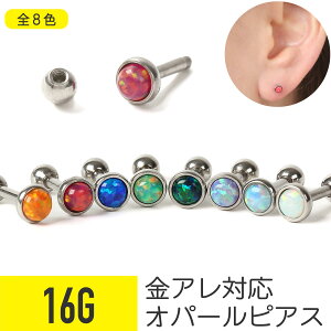 Ip[ 16G T[WJXeX Vo[ C[u wbNX sAX {fBsAX Ip[ WG[ AM[Ή