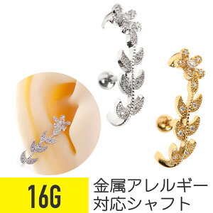 [t C[Jt Xg[go[x 16G T[WJXeX WRjA WG Vo[ S[h C[u wbNX sAX {fBsAX [t CZ AM[Ή