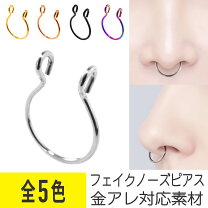 楽天市場】フェイク 鼻ピアス（ジュエリー・アクセサリー）の通販