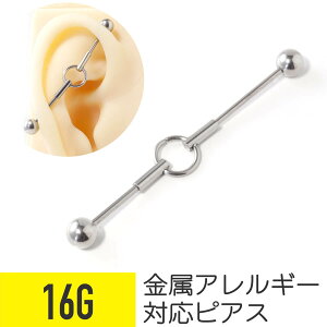 O C_XgAo[x 16G T[WJXeX Vo[ C_XgA sAX {fBsAX O AM[Ή