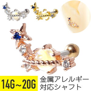 ꐯ f Xg[go[x 14G 16G 18G 20G T[WJXeX WRjA WG Vo[ S[h sNS[h C[u wbNX sAX {fBsAX f F X^