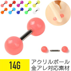 Jt AN Xg[go[x 14G T[WJXeX C[u wbNX gKX sAX {fBsAX Jt |bv