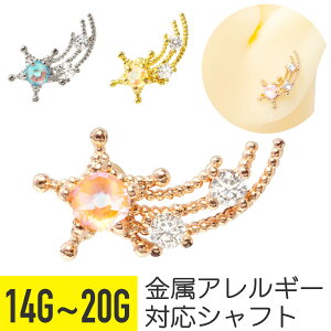 ꐯ WG Xg[go[x 14G 16G 18G 20G T[WJXeX WG Vo[ S[h sNS[h C[u wbNX sAX {fBsAX ꐯ WG 