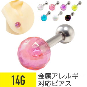 AN LL Xg[go[x 14G T[WJXeX  AN  C[u wbNX sAX {fBsAX LL Ό