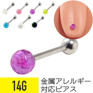 AN LfB {[ Xg[go[x 14G T[WJXeX  AN C[u wbNX Z^[^ ^ sAX {fBsAX